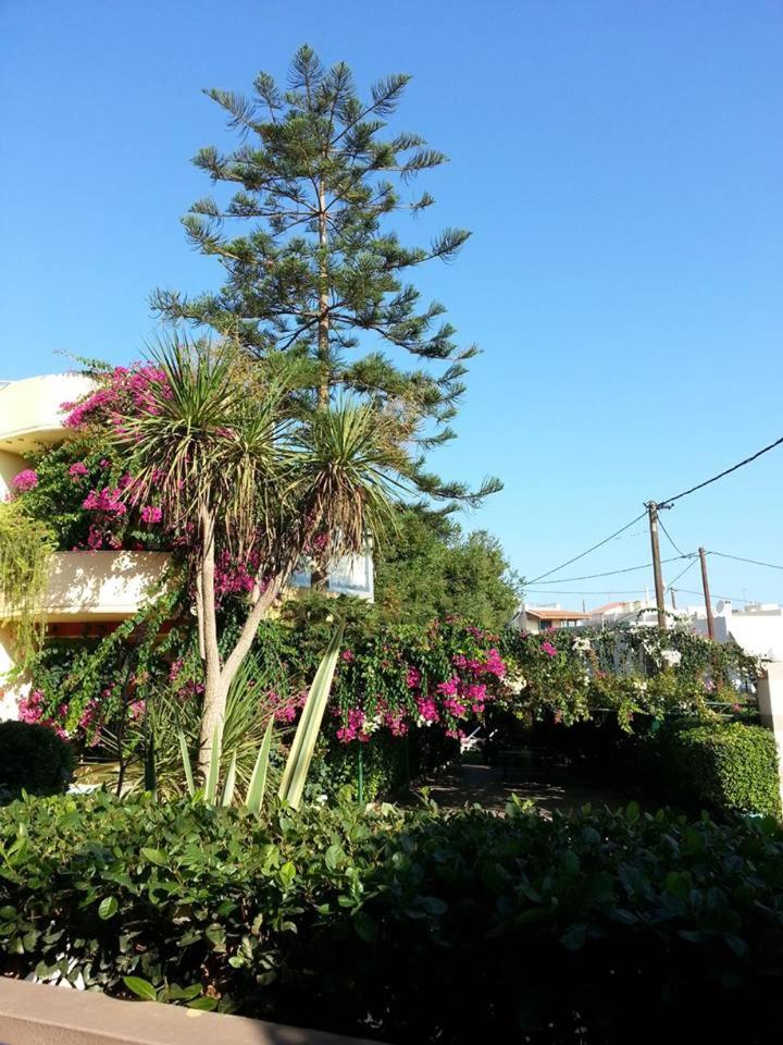 Pantheon Hotel (Adults Only) Atsipopoulo Exterior foto